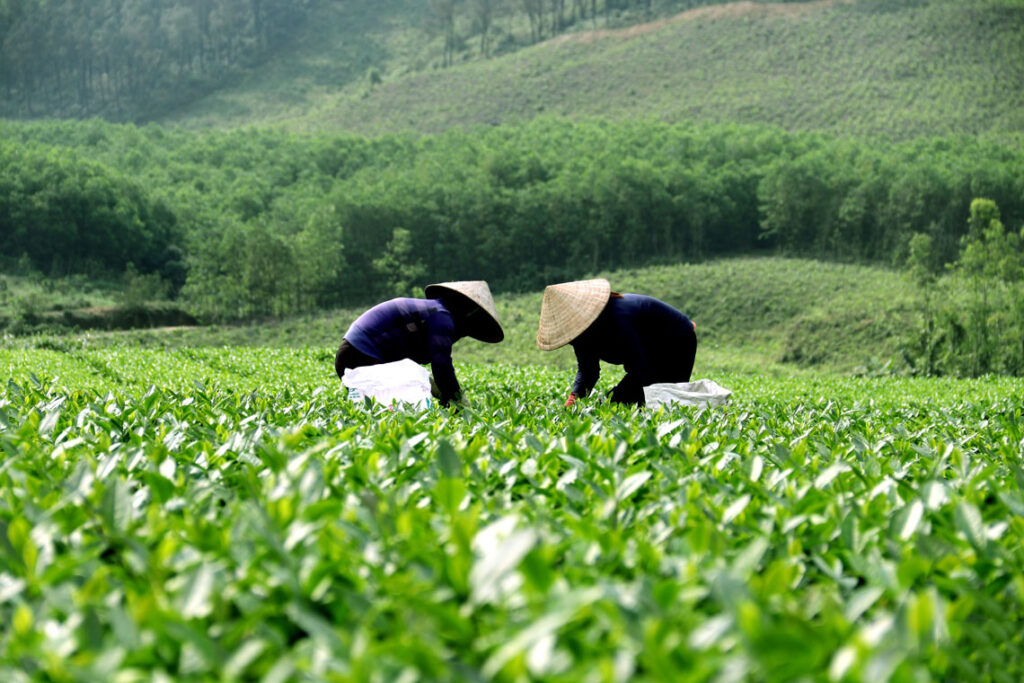 hẹn hò tại Hà Tĩnh